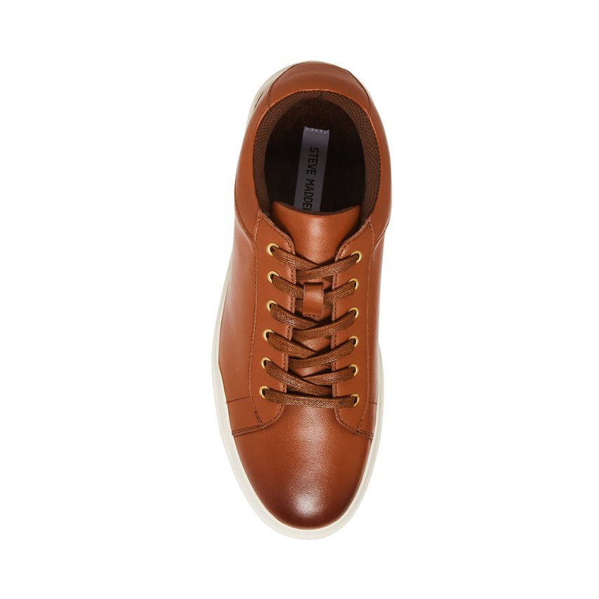 Zapatillas Steve Madden Tilton Cuero Hombre Marrones | ES NA43ES